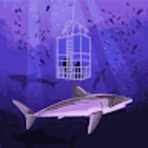 Meet your Posher, Angel